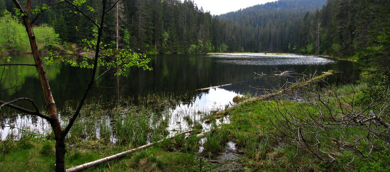Soubor:Lake Laka - Šumava.jpg