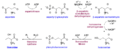 Threonine biosynthesis.png