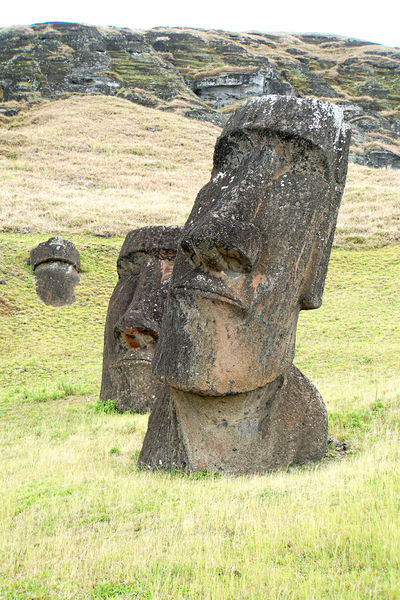 Soubor:Chile-03050-Crooked Neck-DJFlickr.jpg