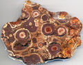 Chertified pisolitic bauxite-Arkansas-USA-Flickr.jpg