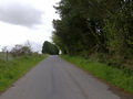 A Breconshire lane near Upper Chapel - geograph.org.uk - 442178.jpg