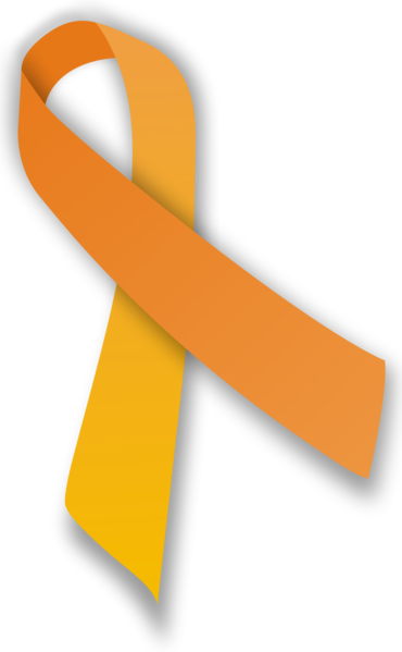 Soubor:Orange ribbon.png