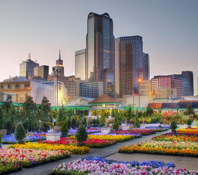 Soubor:Downtown Dallas from the Flower Market FLICKR.jpg