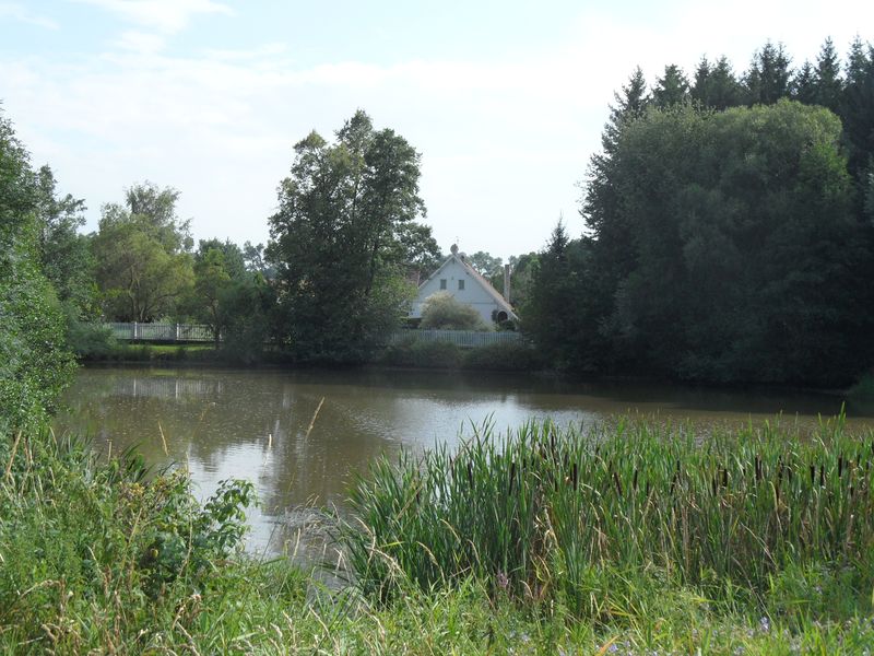 Soubor:Albrechtice (Malesov) C. Rybnik.jpg