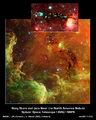 Baby Stars in North America Nebula.jpg