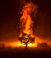 Burning Man Portfolio-TRFlickr.jpg