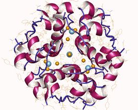 Uspořádání aminokyselin v molekule proinzulinu