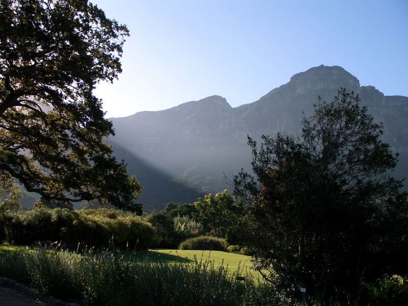 Soubor:Table mountain kirstenbosh gardens.jpg
