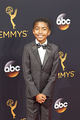 68th Emmy Awards Flickr85p03.jpg