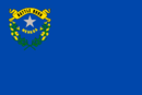 Vlajka amerického státu Nevada