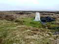 Tyres by the trig point - geograph.org.uk - 677875.jpg
