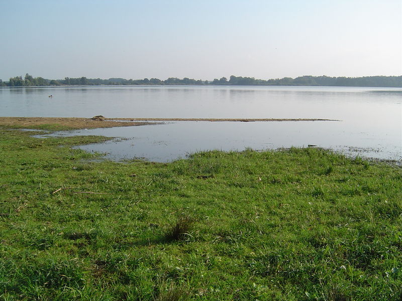 Soubor:Pond Svet from northwest.JPG