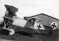 -Fokker V.8 1917.jpg