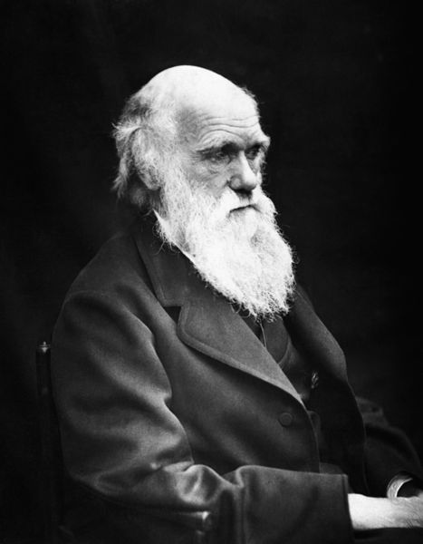 Soubor:Charles Darwin 01.jpg