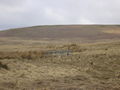 "Larsen" Trap on Weetfoot Bog - geograph.org.uk - 770887.jpg