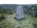 O.S. Trig point on Cardunneth Pike - geograph.org.uk - 624796.jpg