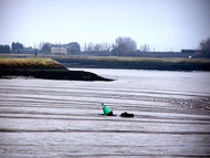 Buoy in the mud - geograph.org.uk - 645769.jpg