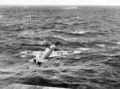 825 Squadron Sea Hurricane.jpg
