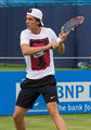 Thanasi Kokkinakis 1, Aegon Championships, London, UK - Diliff.jpg