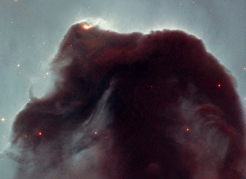 Soubor:Horsehead-Hubble.jpg