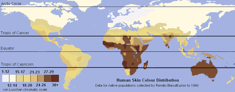 Soubor:Unlabeled Renatto Luschan Skin color map.png