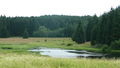 Český les, jezero nedaleko Staré Knížecí Huti.JPG