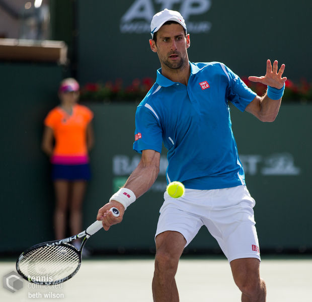 Soubor:Novak Djokovic defeated Rafael Nadal-2016-Flickr1.jpg