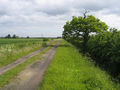 Utton's Drove, Swavesey, Cambs - geograph.org.uk - 180188.jpg