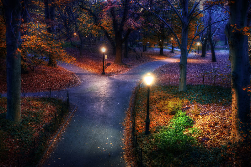 Soubor:Central Park in the Fall HDR.jpg