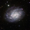 View of the southern spiral NGC 300.jpg