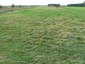 NE to SW runway, Broadwell airfield, Shilton, Burford - geograph.org.uk - 311773.jpg