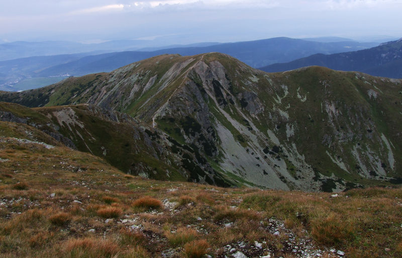 Soubor:Brestowa a3.jpg
