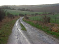 Byway, Knollend Down - geograph.org.uk - 631534.jpg