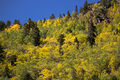 Changing Colors-Aspen-Colorado-Flickr.jpg