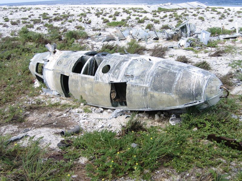 Soubor:Plane wreckage on Howland Island.jpg