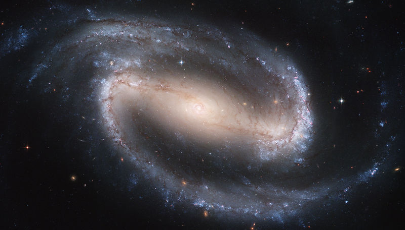Soubor:Hubble2005-01-barred-spiral-galaxy-NGC1300.jpg