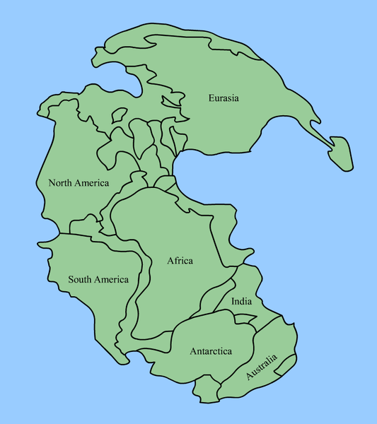 Soubor:Pangaea continents.png