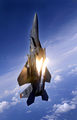 391st Expeditionary Fighter Squadron - F-15E.jpg