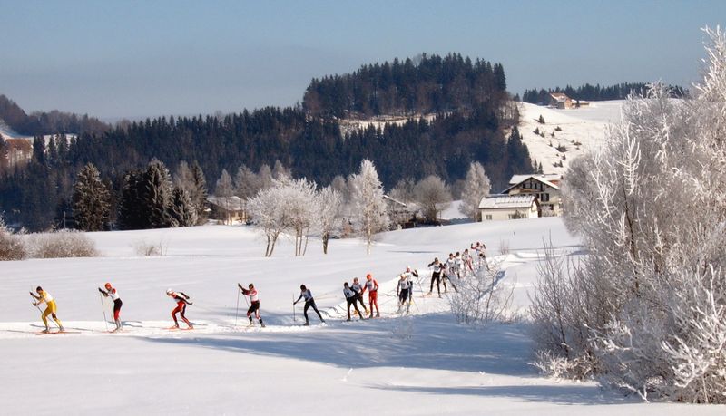 Soubor:Cross-country skiing Schwedentritt.jpg