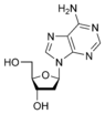 Struktura deoxyadenosinu