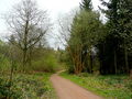 Dymock Forest in spring - geograph.org.uk - 1251112.jpg