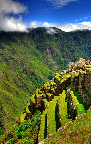 Cultivated lands at Machu Picchu (2007)