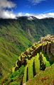 Cultivated lands at Machu Picchu-S12Flickr.jpg