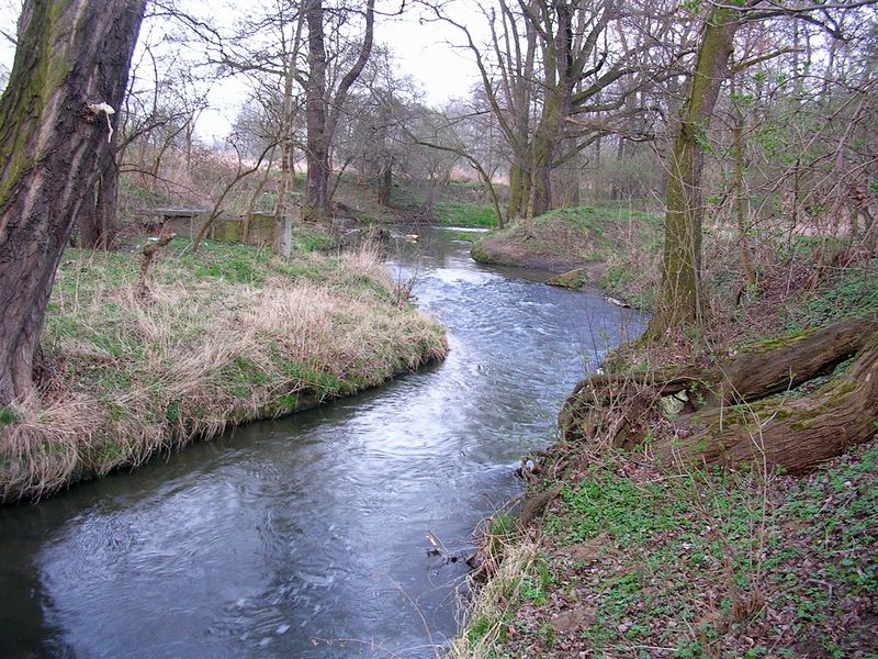 Soubor:Meandry Botiče (14).jpg