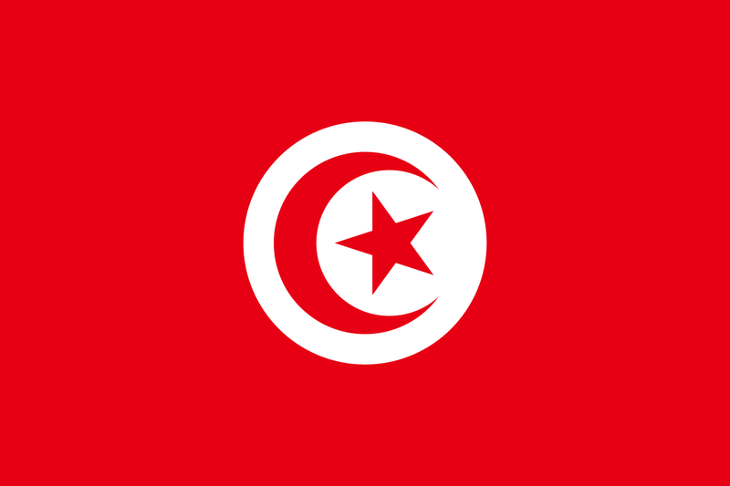 Soubor:Flag of Tunisia.png