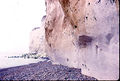 Chalk cliff - geograph.org.uk - 242586.jpg