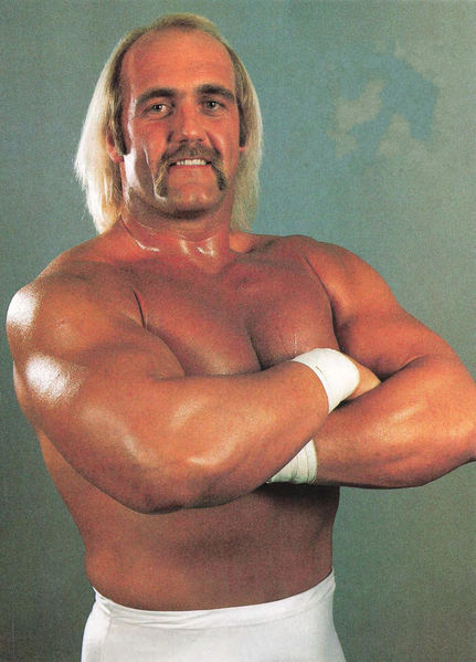 Soubor:Hulk Hogan, circa 1985.jpg