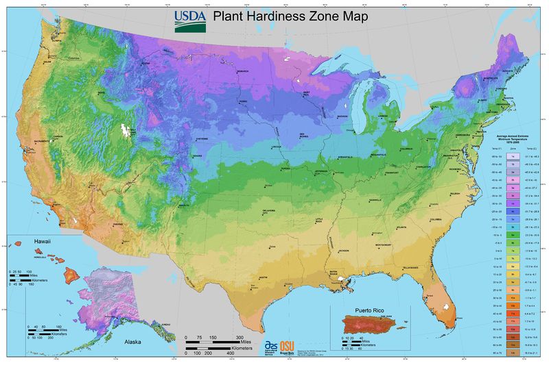 Soubor:2012 USDA Plant Hardiness Zone Map (USA).jpg