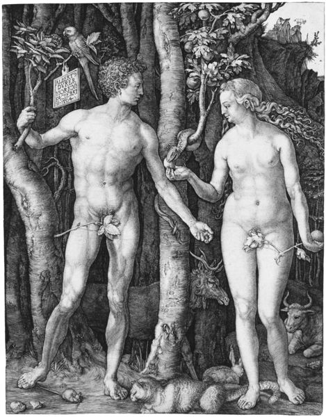 Soubor:Adam Eva, Durer, 1504.jpg