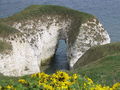 Chalk cliffs - geograph.org.uk - 505630.jpg